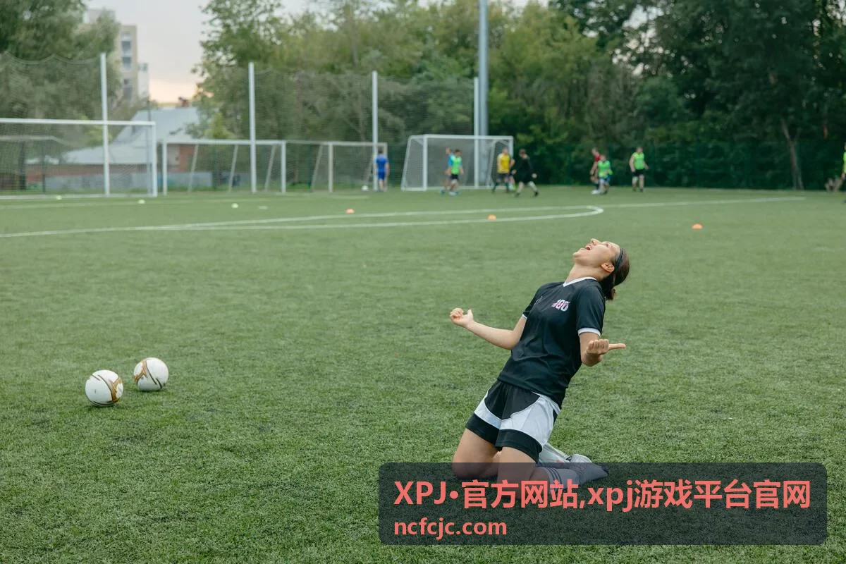 XPJ·官方网站 分类浏览入口