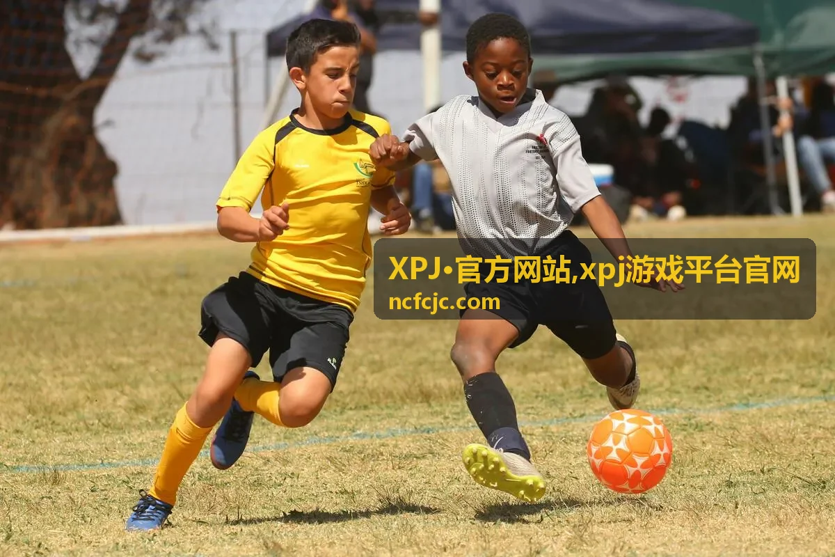 XPJ·官方网站 xpj游戏平台官网专区封面图三